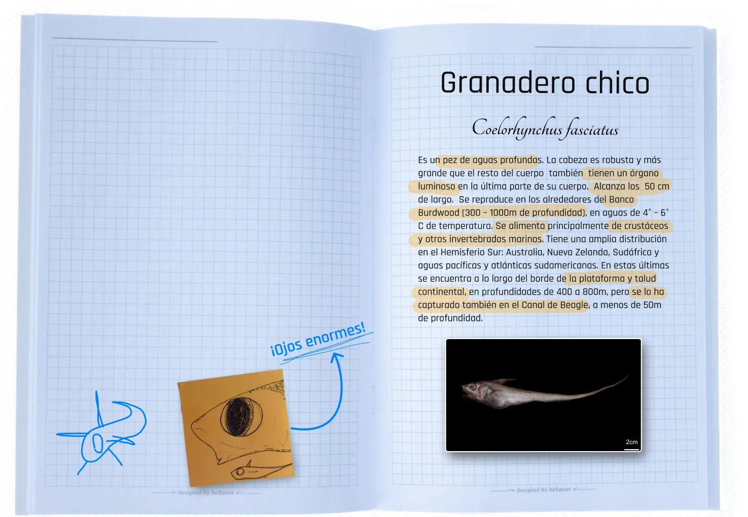 Carpeta Info Granadero